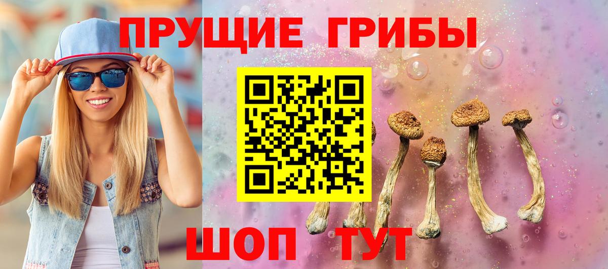 Светлоград  Псилоцибиновые грибы мицелий  Псилоцибиновые грибы GOLDEN TEACHER  Вход с VPN 